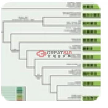 植物分类图谱