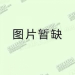 CVC-04GT(PT1)低背职员椅